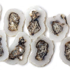 28x25-41x27mm Solar Quartz top drilled Natural Crystal Slices with Drusy Edge 8 inch 14 pieces - Beadsofcambay.com