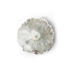 29x28mm Silver leafed Solar Quartz Slice Pendant 1 piece - Beadsofcambay.com
