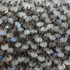 3-4mm Rainbow Moonstone Faceted Rondelle Black Gold plated Chain by the foot 34 pcs - Beadsofcambay.com