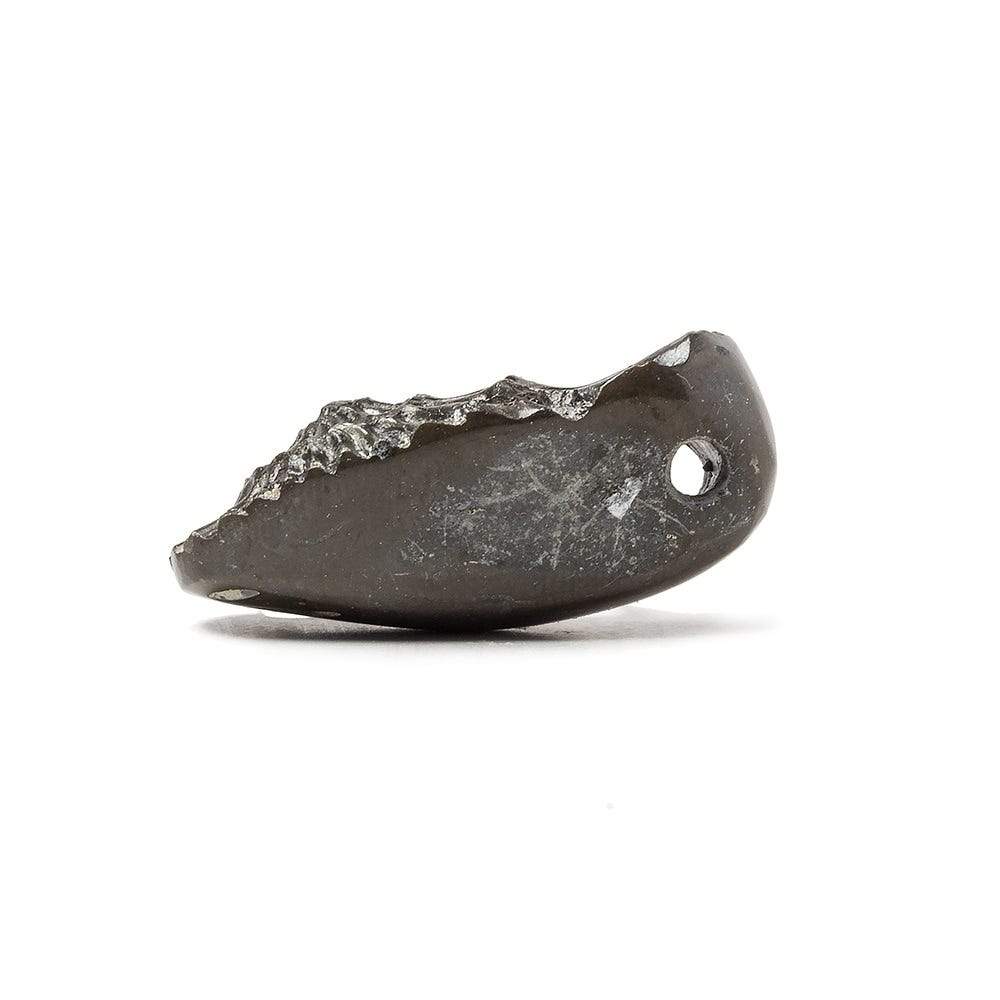 31x13.5mm Pyritized Ammonite Fossil Focal Bead - Beadsofcambay.com
