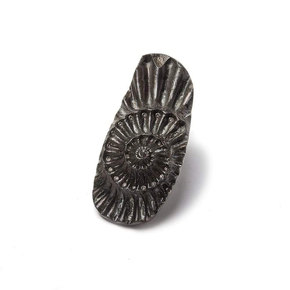 31x13.5mm Pyritized Ammonite Fossil Focal Bead - Beadsofcambay.com