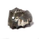 31x26mm Pyritized Ammonite Fossil Focal Bead - Beadsofcambay.com