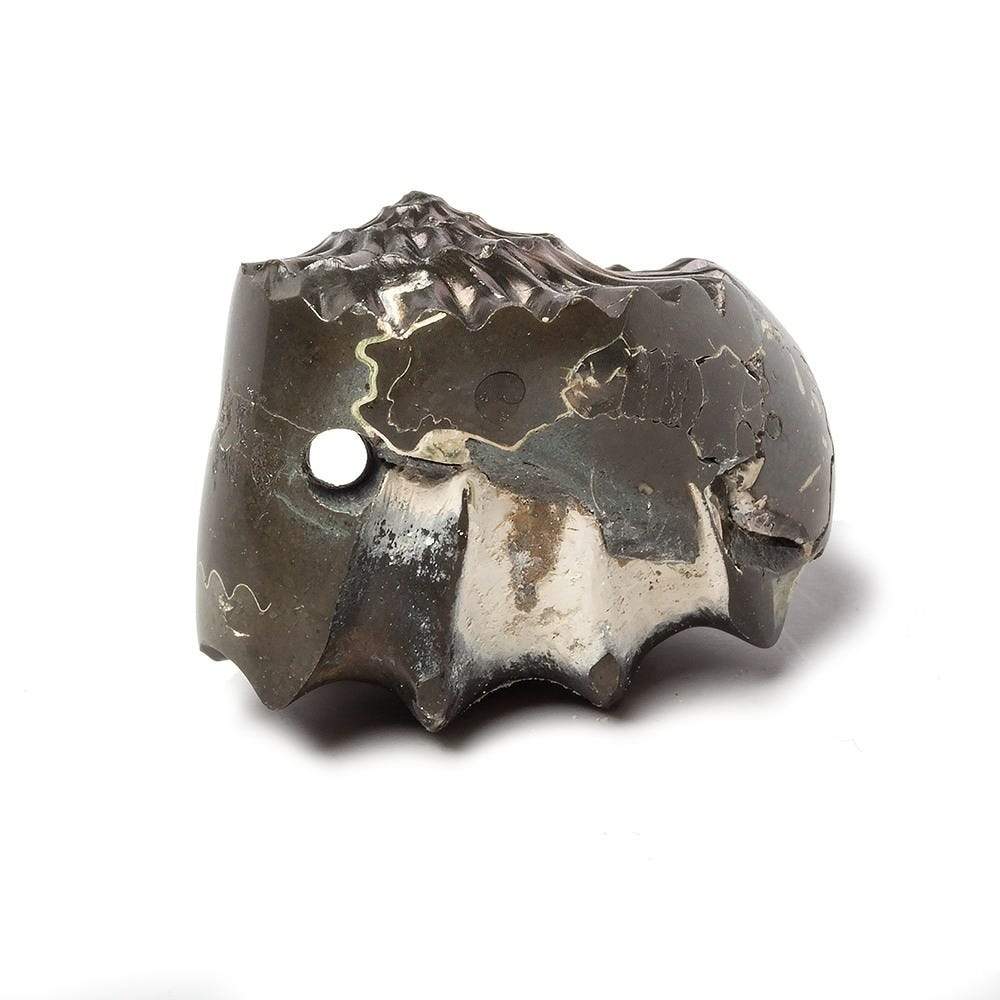 31x26mm Pyritized Ammonite Fossil Focal Bead - Beadsofcambay.com