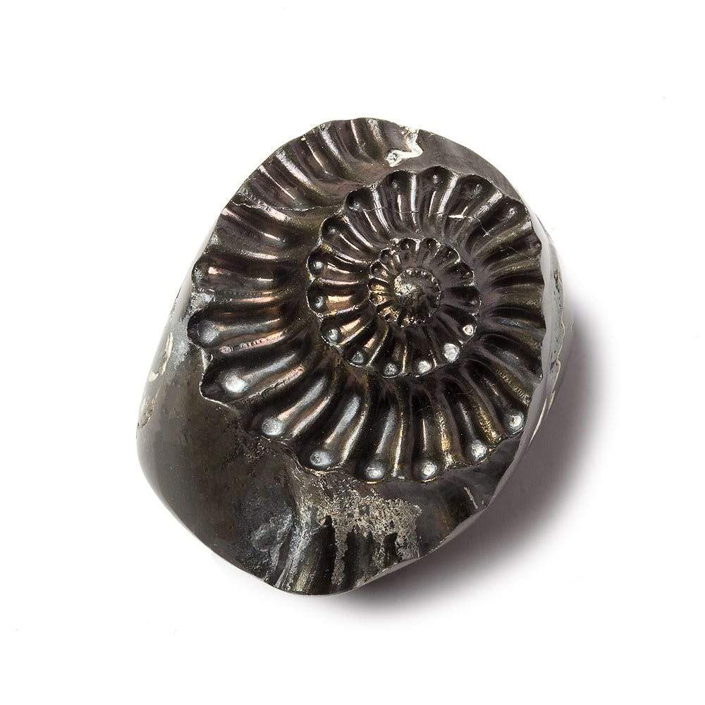 31x26mm Pyritized Ammonite Fossil Focal Bead - Beadsofcambay.com