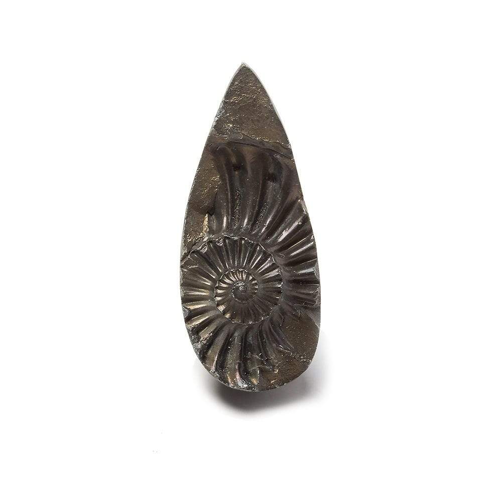 34x15mm Pyritized Ammonite Fossil Focal Bead - Beadsofcambay.com