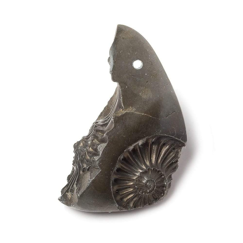 34x15mm Pyritized Ammonite Fossil Focal Bead - Beadsofcambay.com