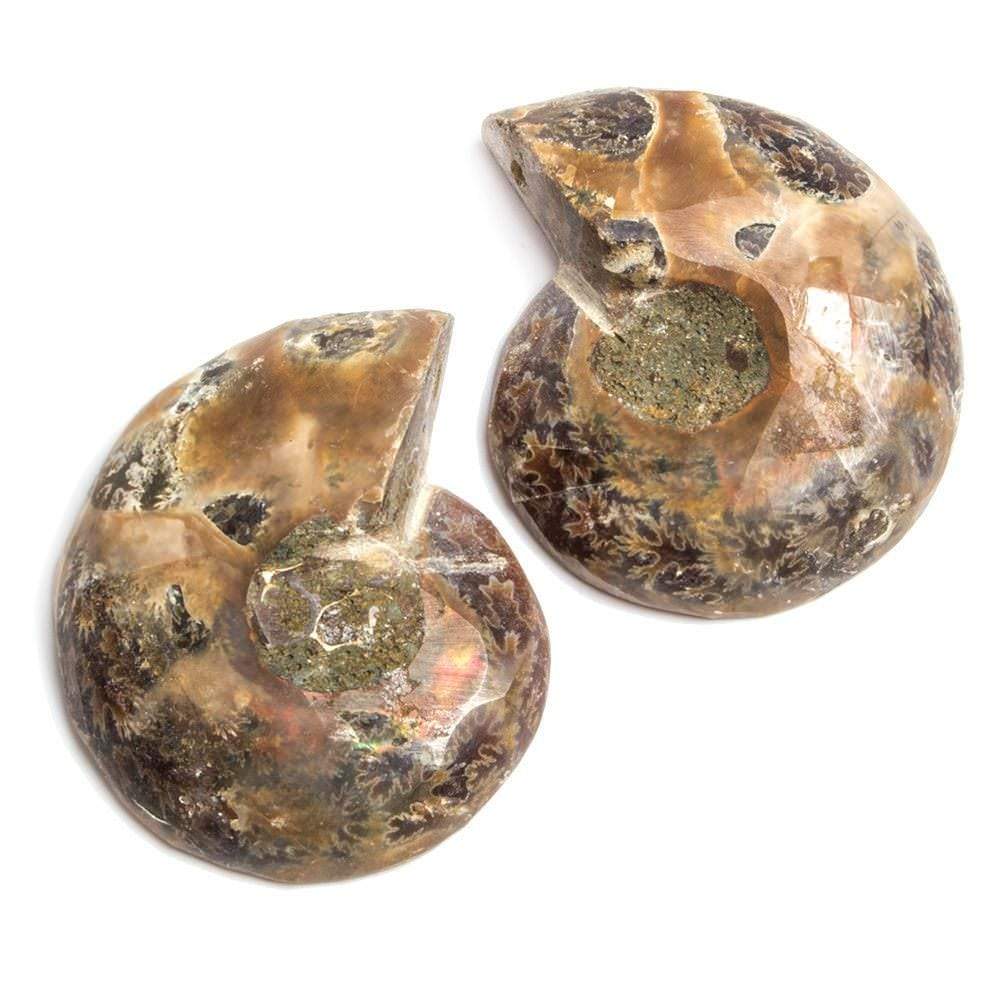 35x29-37x29mm Prehistoric Ammonite Fossil Focal Bead Set of 2 - Beadsofcambay.com