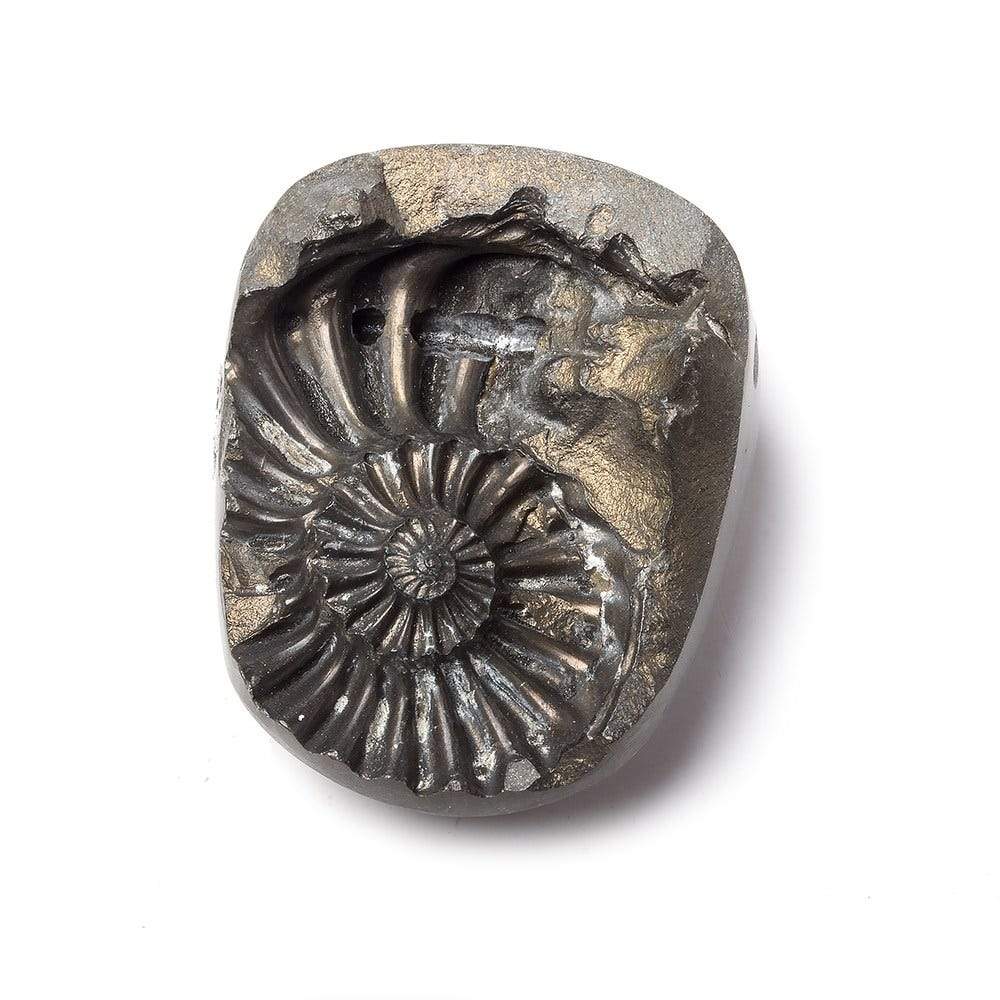 37x29mm Pyritized Ammonite Fossil Bead - Beadsofcambay.com