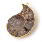 38x31.5mm Gold Leafed Ammonite Fossil Pendant 1 piece - Beadsofcambay.com