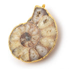 40x32mm Gold Leafed Ammonite Fossil Pendant 1 focal piece - Beadsofcambay.com