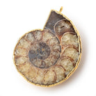 41.5x35mm Gold Leafed Ammonite Fossil Pendant 1 focal piece - Beadsofcambay.com