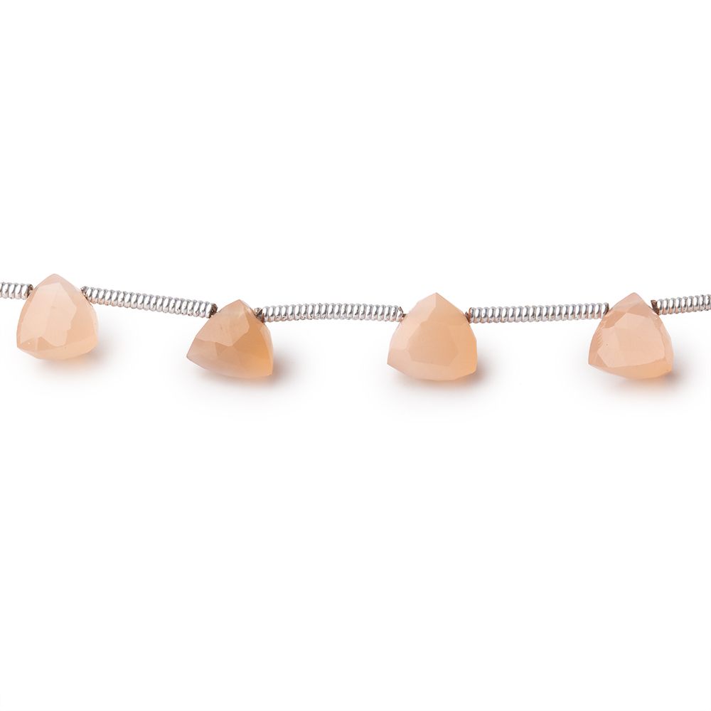 5-6mm Angel Skin Moonstone Top Drilled Trillion Beads 8 inch 16 pieces - BeadsofCambay.com