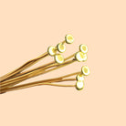 3" length Vermeil Disc Headpin, 22 Gauge Wire, 10 pieces per Bag view 2