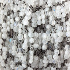 4mm Rainbow Moonstone faceted coin Trio Black Gold Chain by the foot 54 beads per length - Beadsofcambay.com