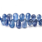4x3-10x5mm Kyanite Plain Tear Drop Beads 10 inch 99 pieces AA - Beadsofcambay.com