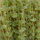 6mm Peridot chip Gold plated Chain by the foot with approximately 35 pieces - Beadsofcambay.com