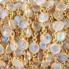 7.5-8mm Rainbow Moonstone Faceted Coin Cabochon Vermeil Bezeled Chain - Beadsofcambay.com