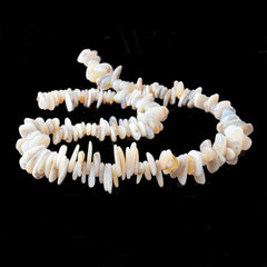 Cyber Monday Specials