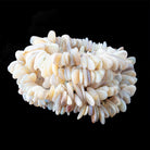 8x6-15x6mm Australian Opal Top Drilled Plain Nuggets 18 inch 200 Beads - Beadsofcambay.com