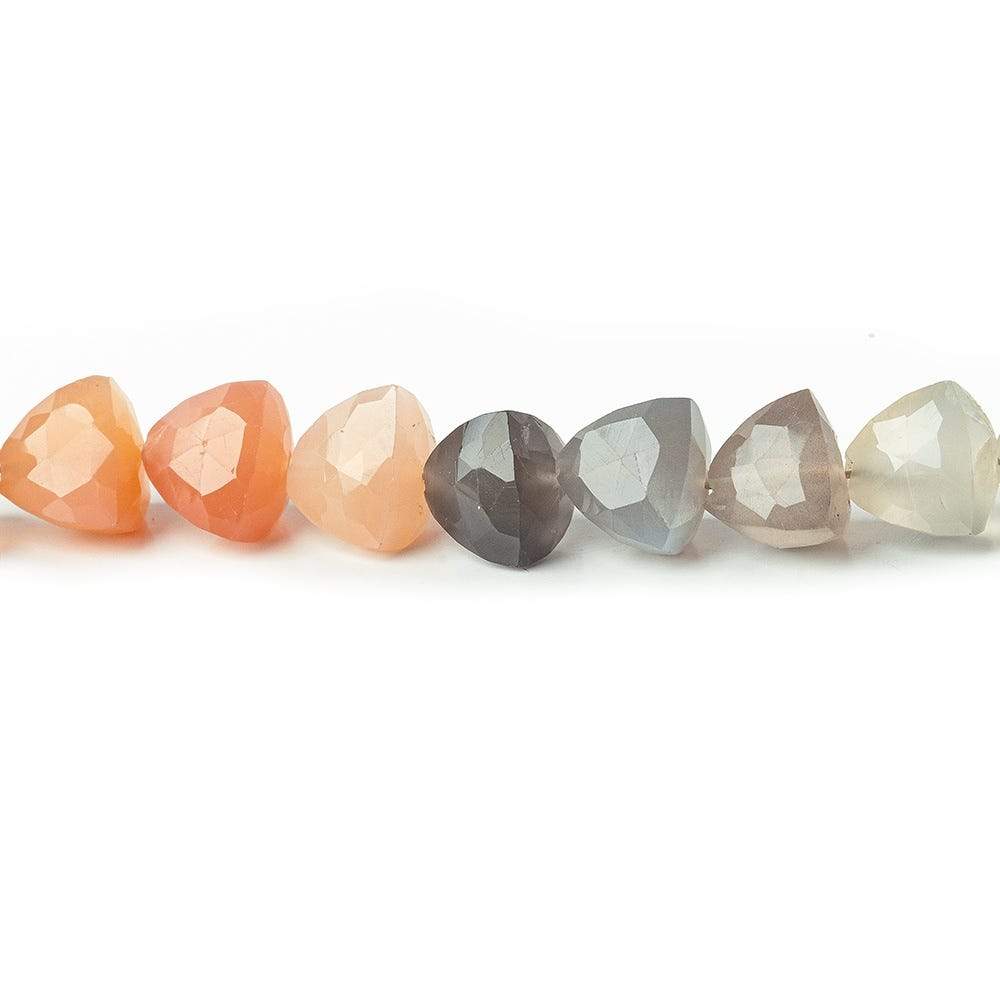 8x8mm Multi Color Moonstone Straight Drilled Trillion beads 8 inch 28 pieces AA - Beadsofcambay.com
