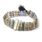Labradorite Double Drilled Faceted Modified Rectangles 8.5 inch 29 pieces - Beadsofcambay.com